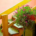 Casa Clessi's Riola Sardo