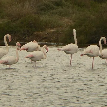 Casa Clessi's 公寓