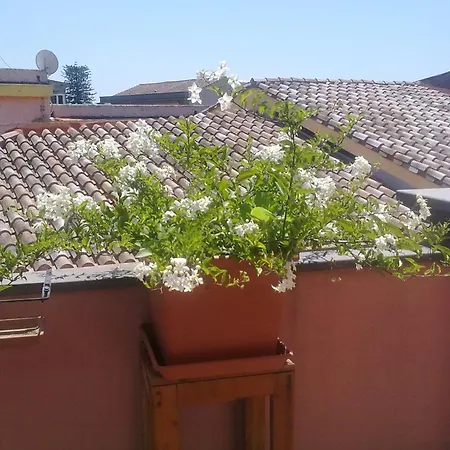 Appartement Casa Clessi's *