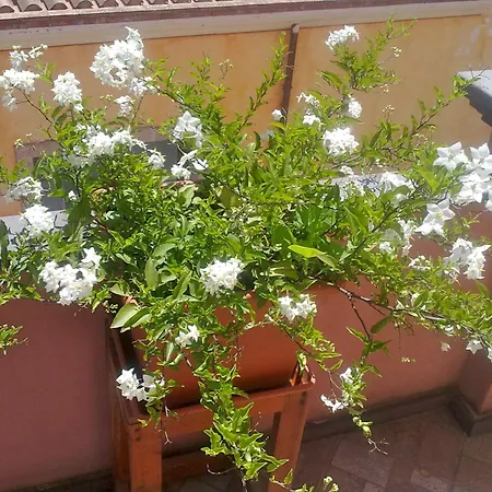 Apartamento Casa Clessi's Riola Sardo